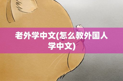 老外学中文(怎么教外国人学中文)
