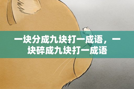 一块分成九块打一成语，一块碎成九块打一成语