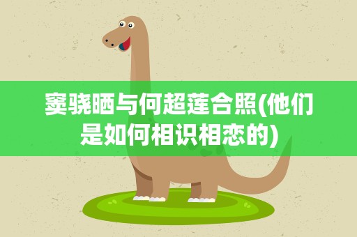 窦骁晒与何超莲合照(他们是如何相识相恋的)