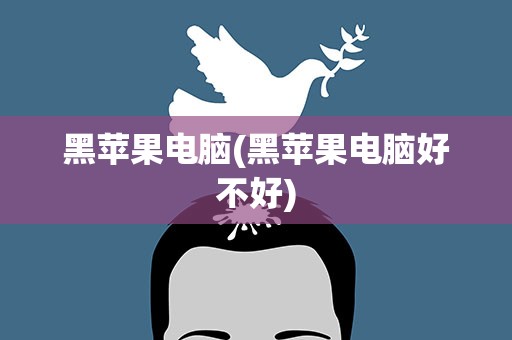 黑苹果电脑(黑苹果电脑好不好)