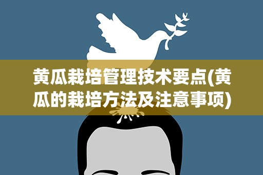 黄瓜栽培管理技术要点(黄瓜的栽培方法及注意事项)