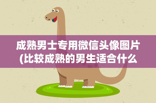 成熟男士专用微信头像图片(比较成熟的男生适合什么样的头像)