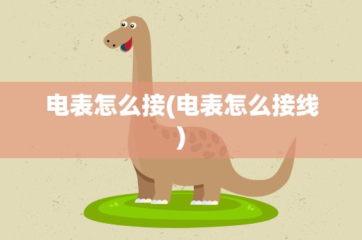 电表怎么接(电表怎么接线)
