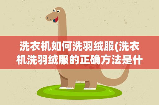 洗衣机如何洗羽绒服(洗衣机洗羽绒服的正确方法是什么)