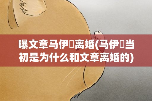 曝文章马伊琍离婚(马伊琍当初是为什么和文章离婚的)