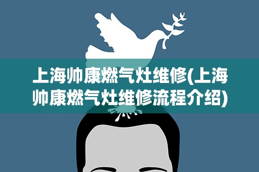 上海帅康燃气灶维修(上海帅康燃气灶维修流程介绍)
