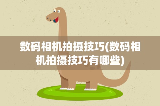 数码相机拍摄技巧(数码相机拍摄技巧有哪些)