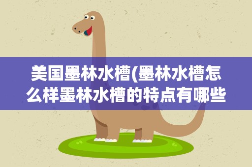 美国墨林水槽(墨林水槽怎么样墨林水槽的特点有哪些)