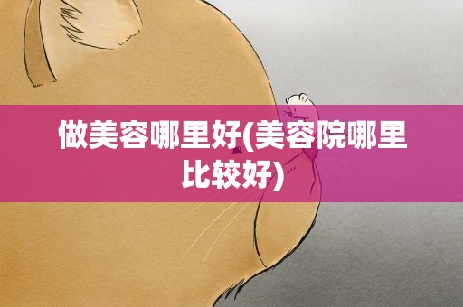 做美容哪里好(美容院哪里比较好)