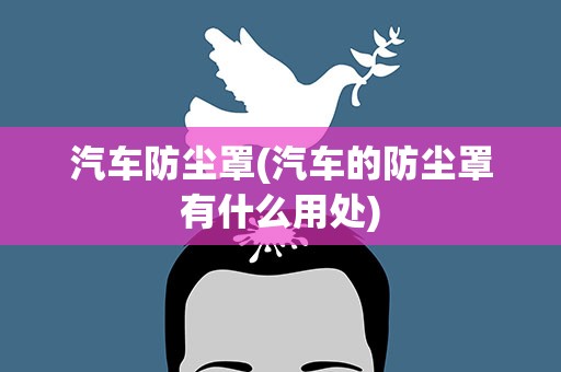汽车防尘罩(汽车的防尘罩有什么用处)