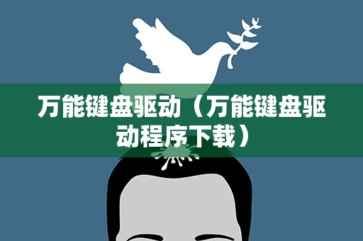 万能键盘驱动（万能键盘驱动程序下载）