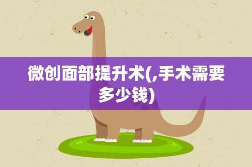 微创面部提升术(,手术需要多少钱)