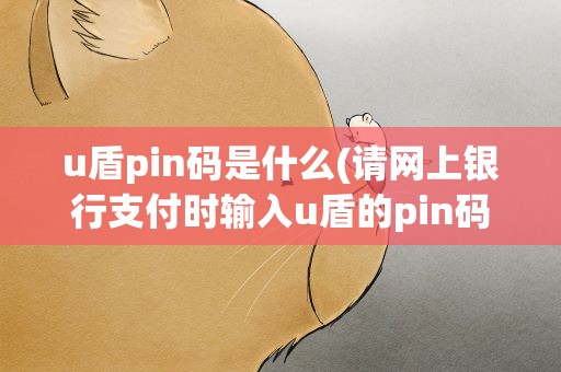 u盾pin码是什么(请网上银行支付时输入u盾的pin码是什么意思)