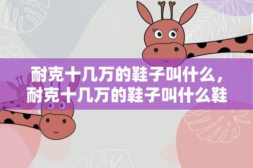 耐克十几万的鞋子叫什么，耐克十几万的鞋子叫什么鞋