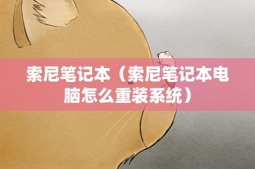 索尼笔记本（索尼笔记本电脑怎么重装系统）