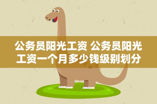 公务员阳光工资 公务员阳光工资一个月多少钱级别划分各多少