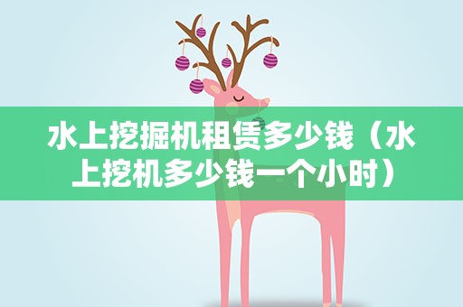 水上挖掘机租赁多少钱（水上挖机多少钱一个小时）