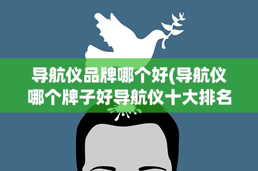 导航仪品牌哪个好(导航仪哪个牌子好导航仪十大排名是哪几个)