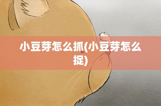 小豆芽怎么抓(小豆芽怎么捉)