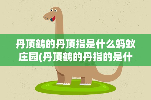 丹顶鹤的丹顶指是什么蚂蚁庄园(丹顶鹤的丹指的是什么)