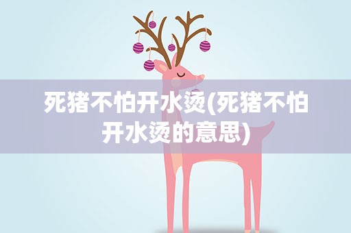 死猪不怕开水烫(死猪不怕开水烫的意思)