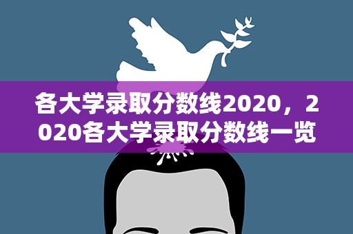 各大学录取分数线2020，2020各大学录取分数线一览表