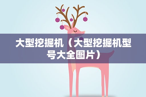 大型挖掘机（大型挖掘机型号大全图片）