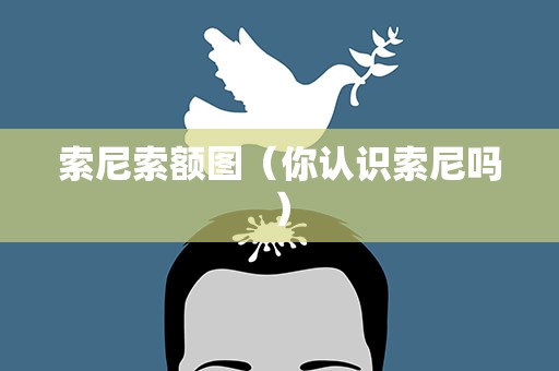 索尼索额图（你认识索尼吗）