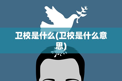 卫校是什么(卫校是什么意思)