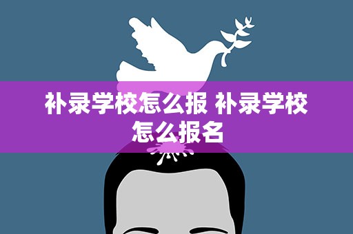 补录学校怎么报 补录学校怎么报名