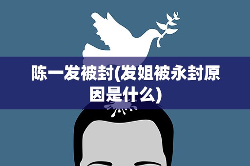 陈一发被封(发姐被永封原因是什么)