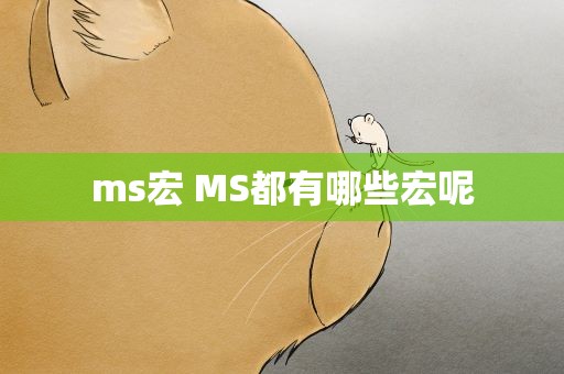 ms宏 MS都有哪些宏呢