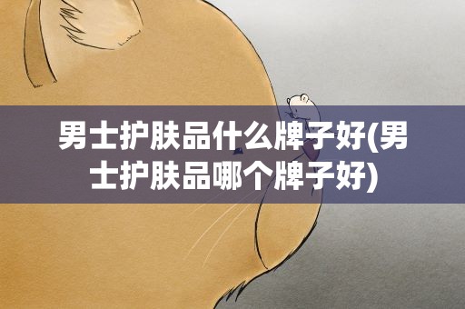 男士护肤品什么牌子好(男士护肤品哪个牌子好)