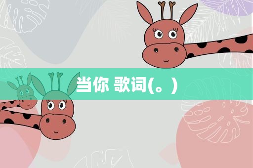 当你 歌词(。)