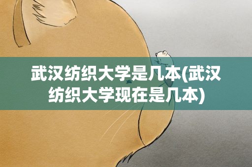 武汉纺织大学是几本(武汉纺织大学现在是几本)