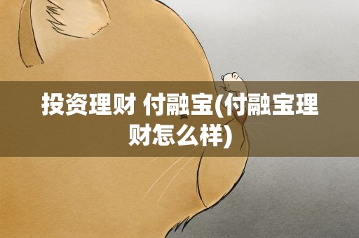 投资理财 付融宝(付融宝理财怎么样)