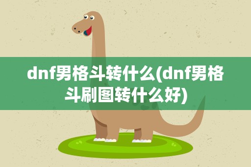 dnf男格斗转什么(dnf男格斗刷图转什么好)