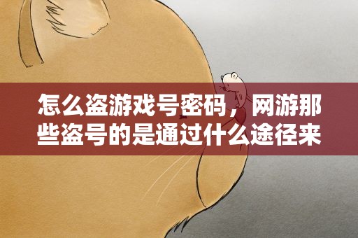 怎么盗游戏号密码，网游那些盗号的是通过什么途径来获取对方的游戏密码