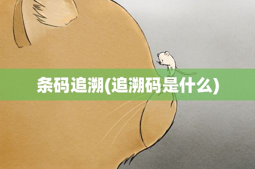 条码追溯(追溯码是什么)