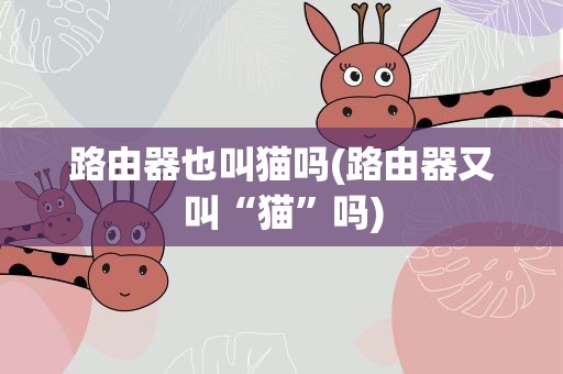 路由器也叫猫吗(路由器又叫“猫”吗)