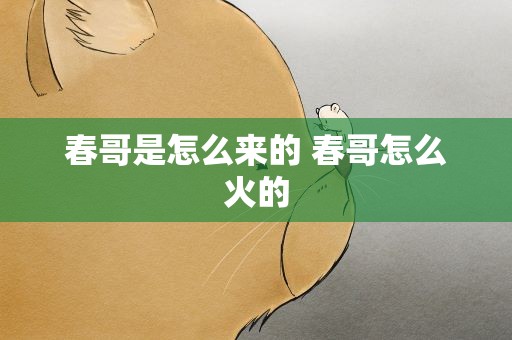 春哥是怎么来的 春哥怎么火的