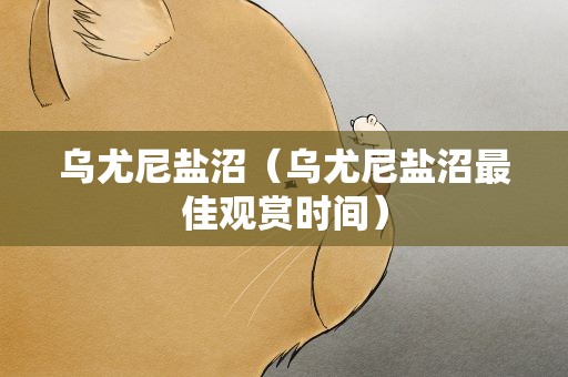 乌尤尼盐沼（乌尤尼盐沼最佳观赏时间）