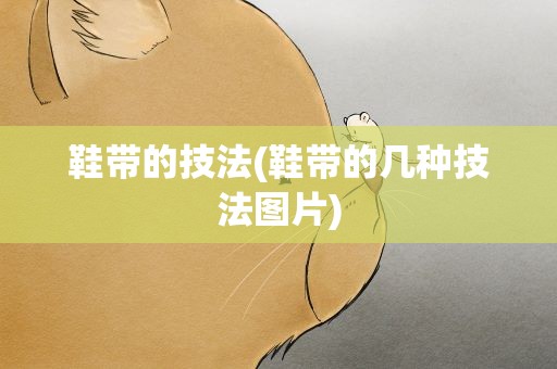 鞋带的技法(鞋带的几种技法图片)