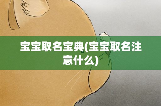 宝宝取名宝典(宝宝取名注意什么)