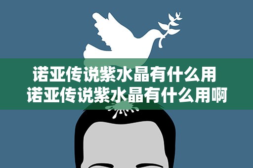 诺亚传说紫水晶有什么用 诺亚传说紫水晶有什么用啊