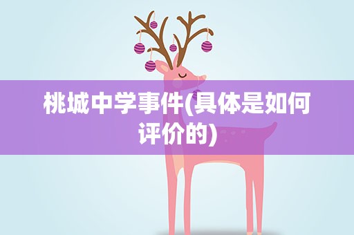 桃城中学事件(具体是如何评价的)