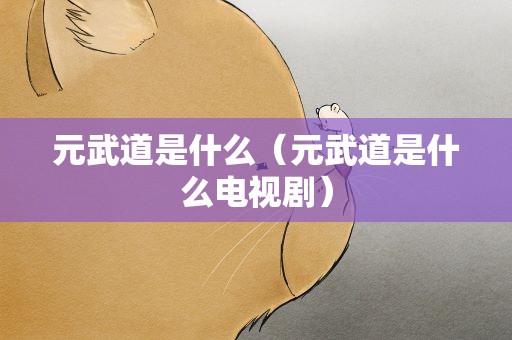 元武道是什么（元武道是什么电视剧）