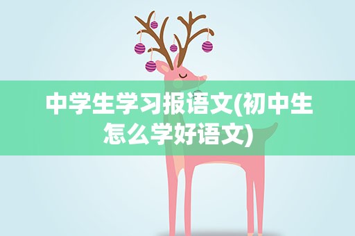 中学生学习报语文(初中生怎么学好语文)