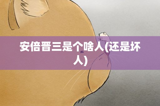 安倍晋三是个啥人(还是坏人)