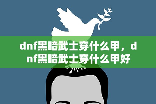 dnf黑暗武士穿什么甲，dnf黑暗武士穿什么甲好